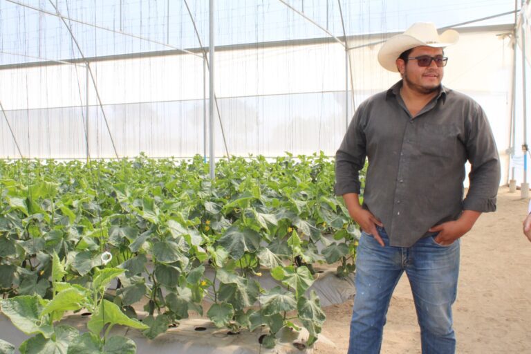 Impulsa Fomtlax las fuentes de ingreso familiar