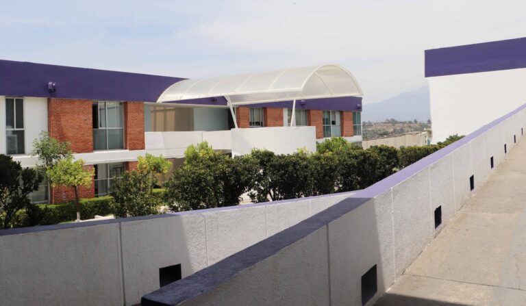 Vinculan a proceso a hombre por homicidio y daños por culpa: PGJE