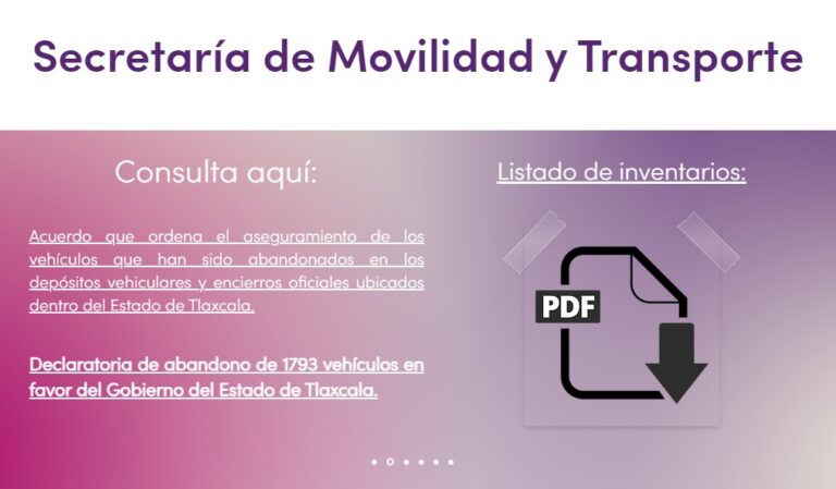 Habilita SMyT Trámite en Línea del Permiso Provisional Para Circular sin Placas