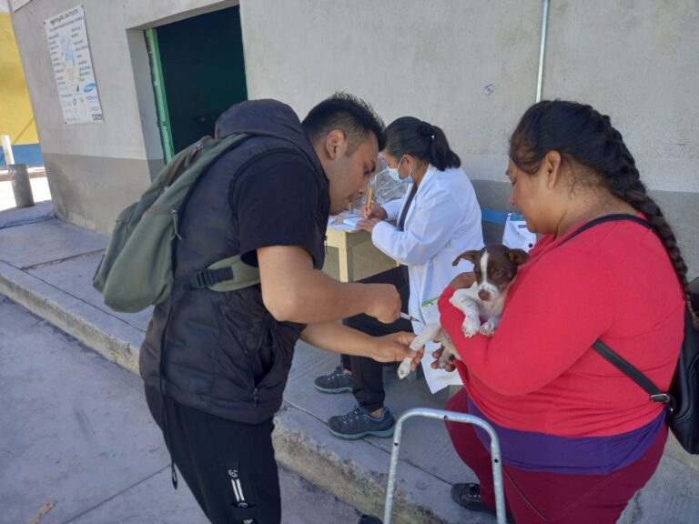 Se Mantiene Tlaxcala Como Área Geográfica Libre de Transmisión de Rabia en Animales y Humanos