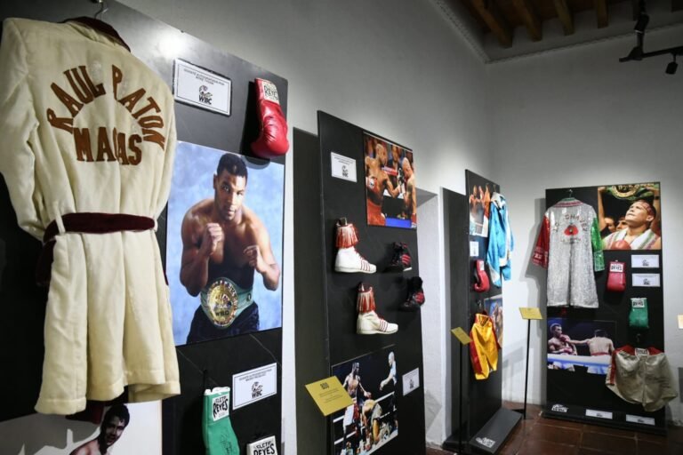 Exposición «Verde y Oro» en el Museo de la Memoria Genera Interés y Expectación