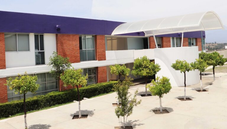 Causa de muerte de masculino en San Pablo del Monte fue por traumatismo craneoencefálico severo: PGJE