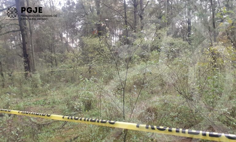 Investiga PGJE hallazgo de restos óseos en Mazatecochco