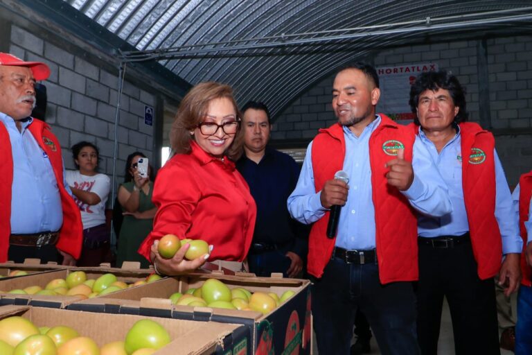 Presencia Gobernadora Salida de Producción de Jitomate de Empresa Tlaxcalteca a Walmart