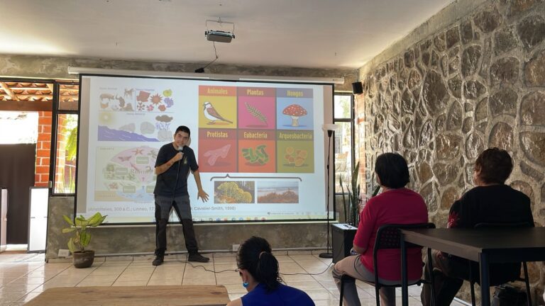 Abordan el mundo de los insectos en «Charlas de ciencia»
