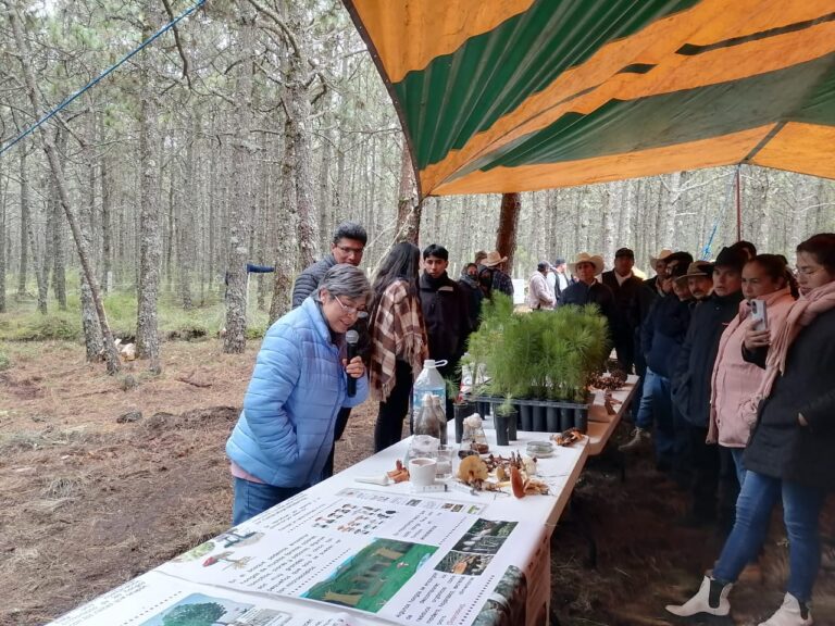 Afianzan vinculación con comunidades de Tlaxco investigadores de la UATx