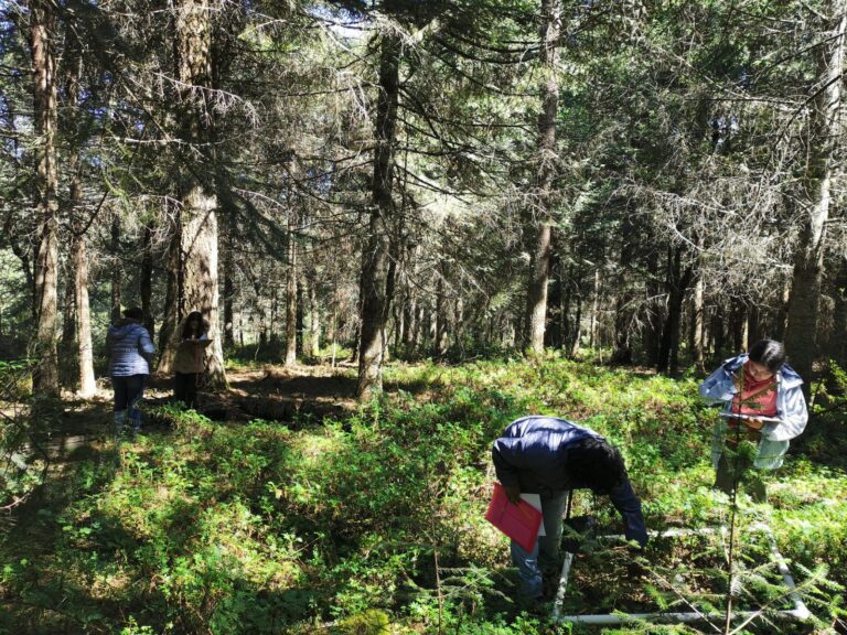 Realizan estudiantes de Biología de la UATx monitoreo de biodiversidad del bosque en San Juan Cuauhtémoc