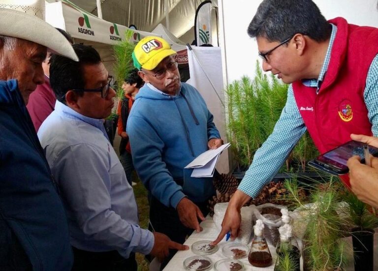 Contribuyen investigadores de la UATx a la restauración de bosques de coníferas