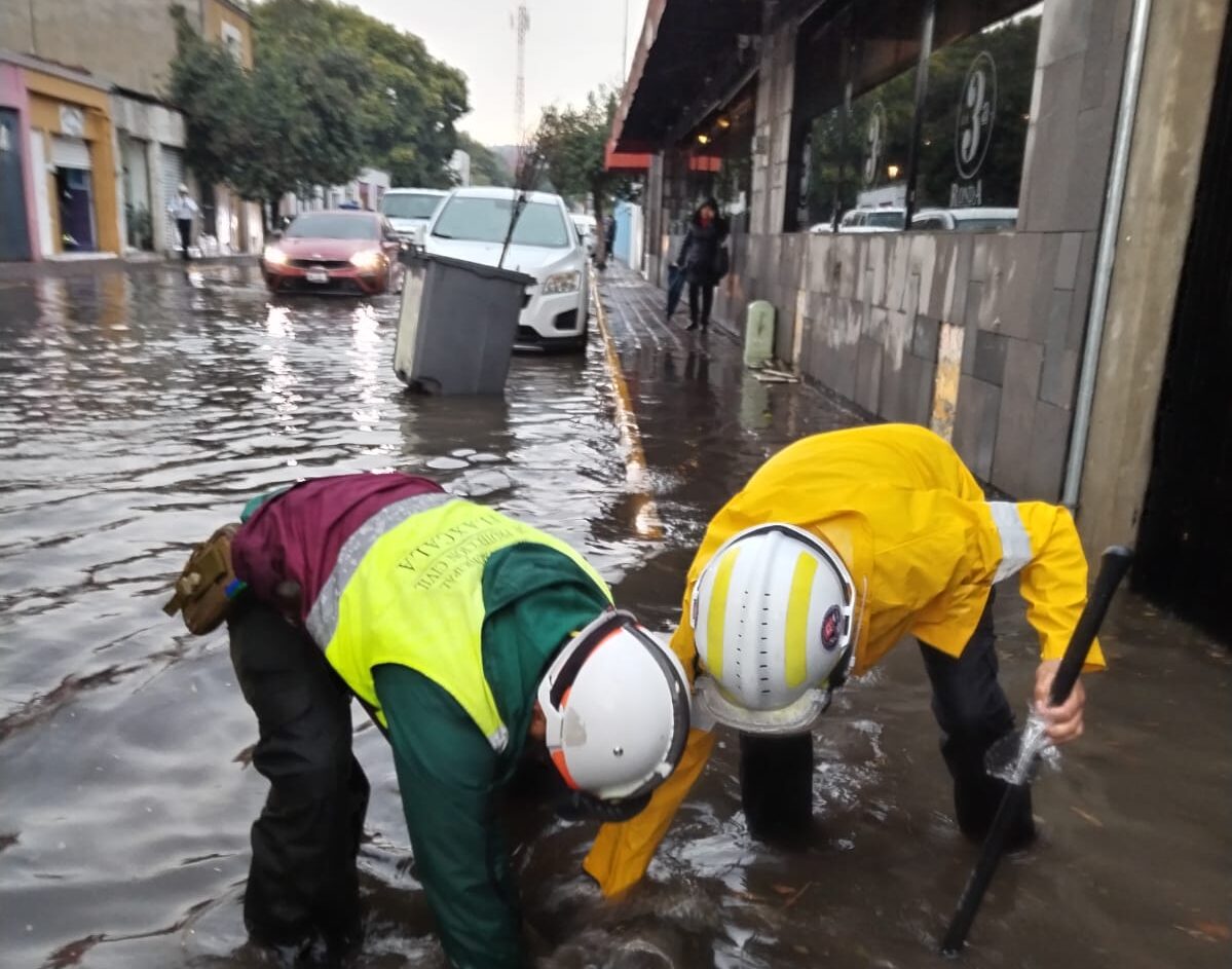 Imagen de WhatsApp 2024-10-30 a las 20.10.02_f8da4b7e