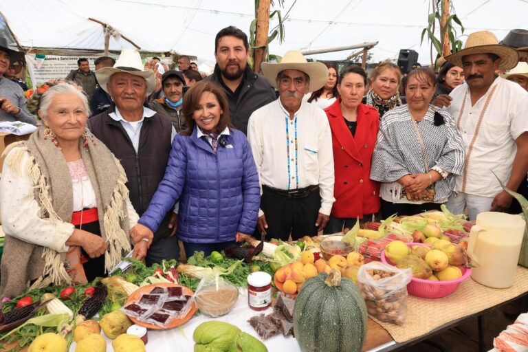Cuentan con Programas Sociales Ocho de Cada Diez Tlaxcaltecas