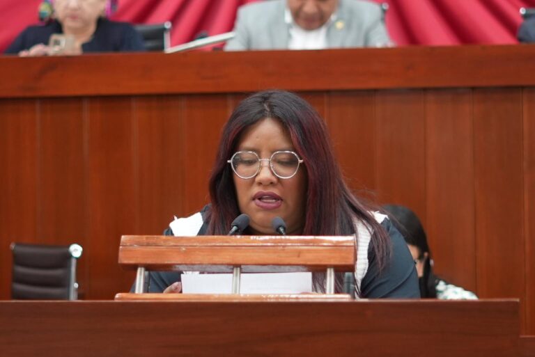 Plantea diputada Brenda Cecilia Villantes Ley para fortalecer disciplina y derechos humanos en seguridad ciudadana