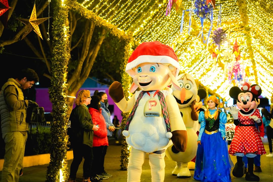 WhatsApp Image 2024-12-23 at 18.10.26