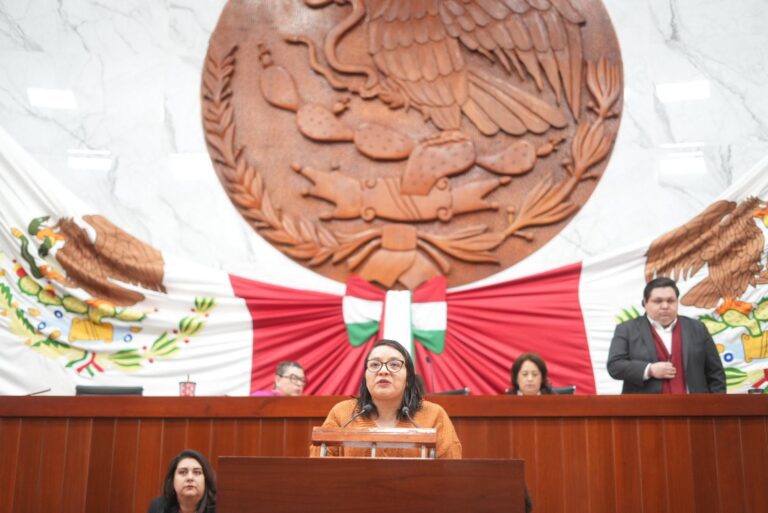 Presenta diputada Laura Flores iniciativa en materia de reconocimiento a comunidades y pueblos indígenas