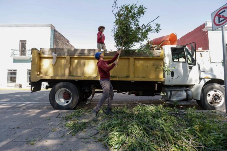 El Ayuntamiento de Tlaxcala responde a la ciudadanía: Inicia labores de poda y mantenimiento en el Boulevard Revolución