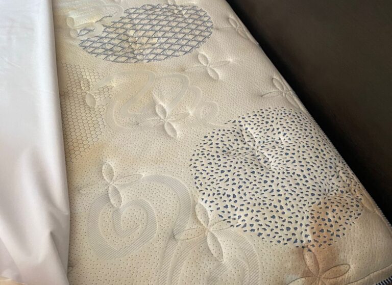 Realiza Coeprist revisión en Moteles en San Pablo Monte