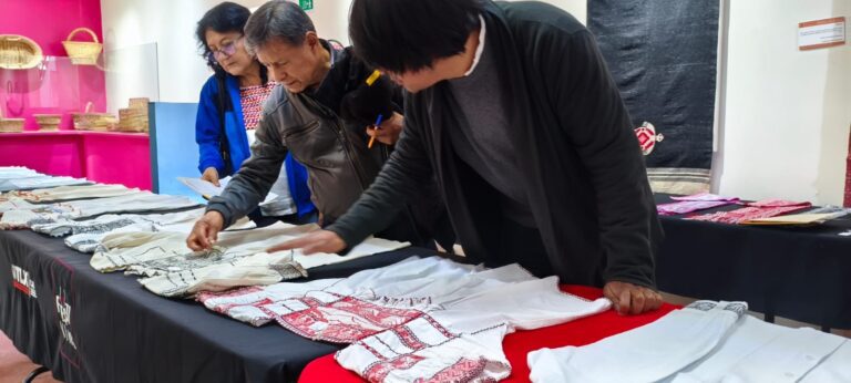 Elige CAT 21 piezas del IV Concurso Artesanal Ixtenco «Pueblo Mágico» 2025