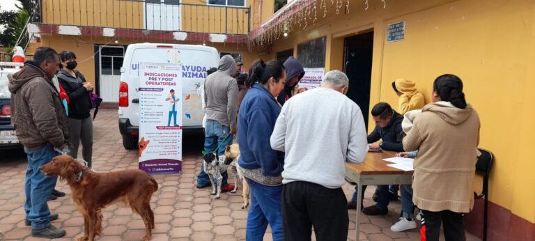 Bienestar Animal ha Realizado más de Seis mil Esterilizaciones Entre 2023 y 2024