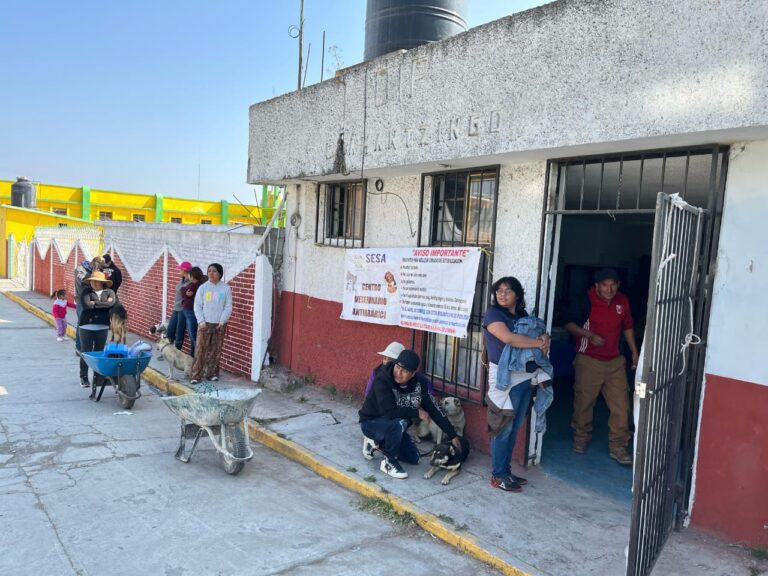 Realiza Sector Salud 500 Esterilizaciones de Perros y Gatos