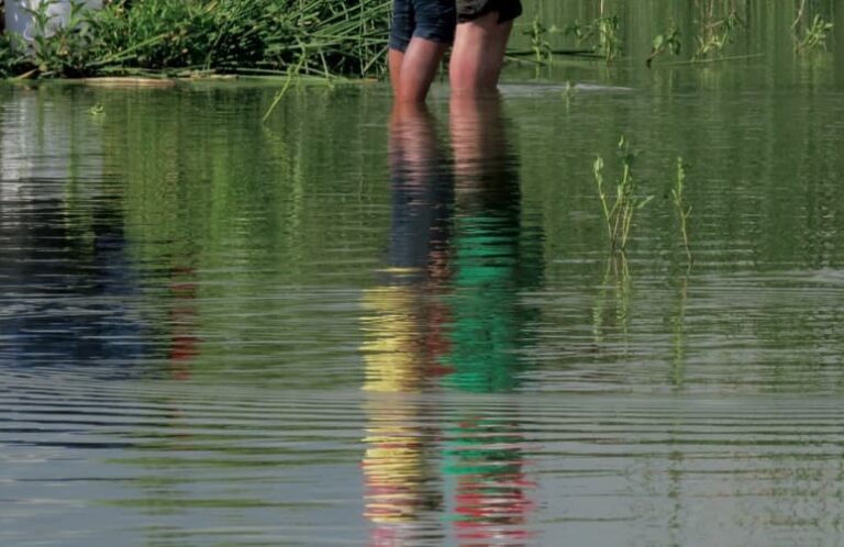 Secretaría de Cultura Invita a la Exposición «Cuerpos de Agua en Estado de Emergencia»
