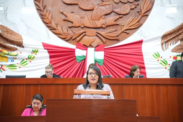 Garantizar el derecho al agua, propone la diputada Laura Flores