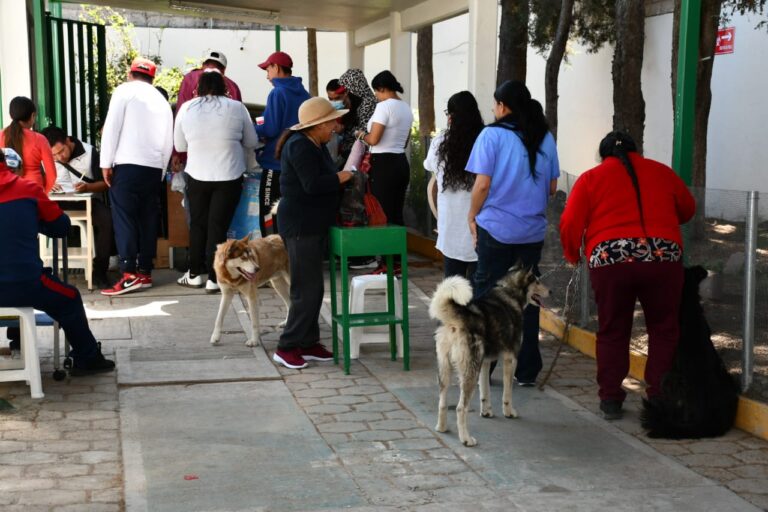 Jornada de Vacunación Antirrábica Canina y Felina Registra Alta Participación en Tlaxcala