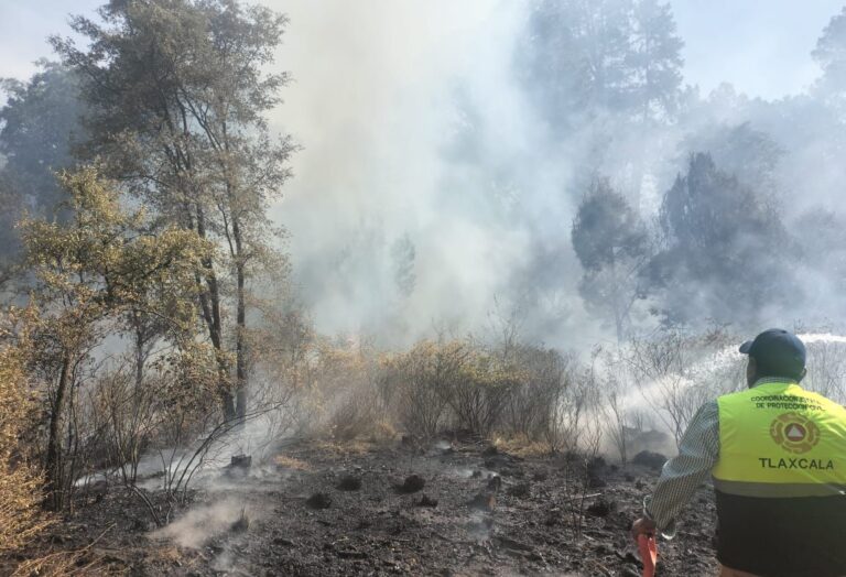 CEPC Emite Recomendaciones Para Prevenir Incendios Forestales