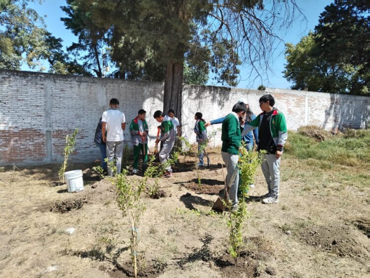 WhatsApp Image 2025-04-11 at 13.04.48 (2)