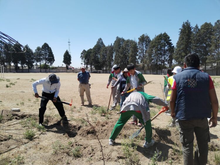 WhatsApp Image 2025-04-11 at 13.04.48 (3)