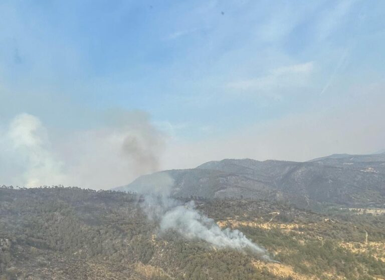 Avanza Combate a Incendio en Atltzayanca: Entre 70 y 80 por Ciento Bajo Control