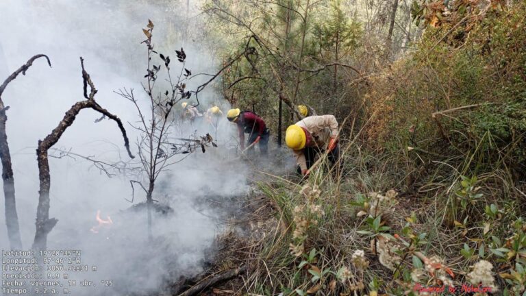 Helicópteros Agilizan las Labores de Combate a Incendio en Atltzayanca