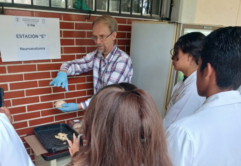 El CIRA motiva a mentes jóvenes a conocer funcionamiento del cerebro