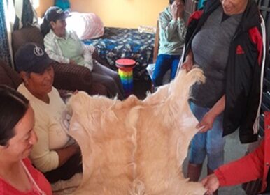 SIA impulsa taller para dar valor agregado en subproductos de la cadena ovina