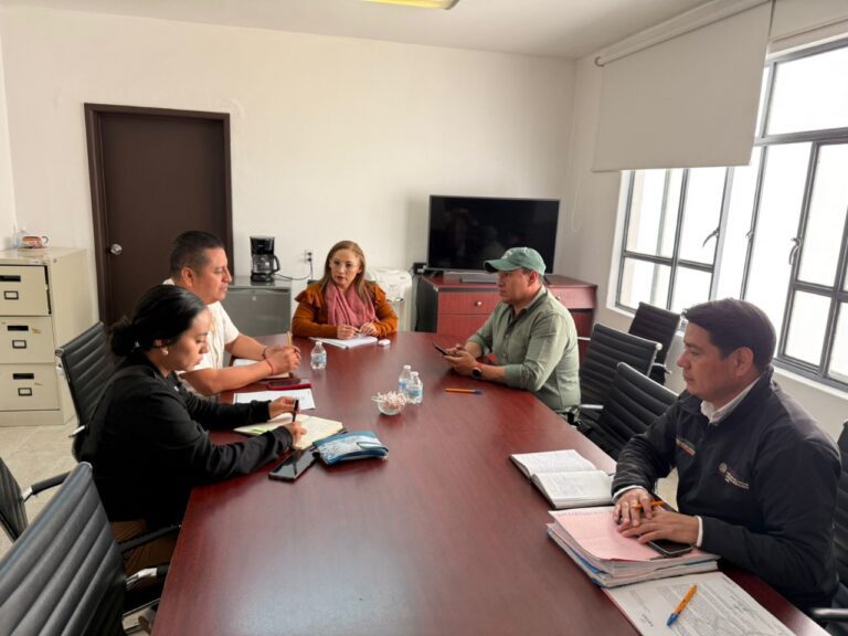 Capacitará Coeprist en temas sanitarios a establecimientos de Teolocholco