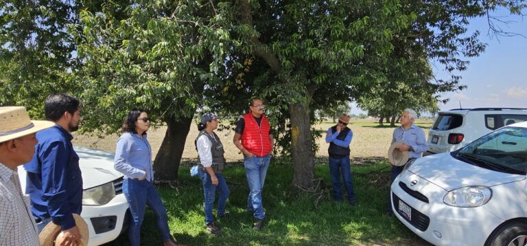 Impulsa CEAS Reingeniería de la Planta de Tratamiento de Tlaxco