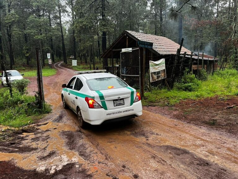 Propaet Refuerza Vigilancia en Centros de Avistamiento de Luciérnagas
