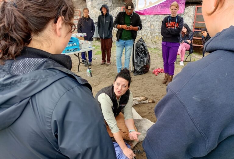 Realiza SIA Jornada Médica Veterinaria Gratuita Para Équidos en Huamantla
