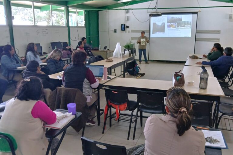 Investigadores UATx impartieron curso en CBTA 134 sobre propagación vegetal y uso de hongos en la reforestación