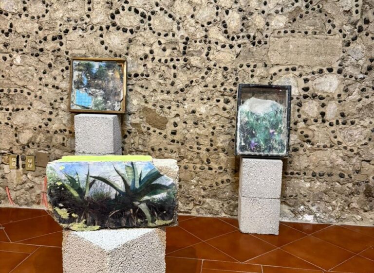 Últimos Días Para Visitar “Romper el Agua”, Exposición de Arte Contemporáneo en la Pinacoteca