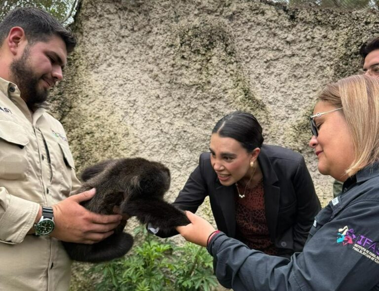 Recorre Secretaria de Turismo Federal, Josefina Rodríguez, Zoológico del Altiplano