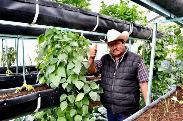 Impulsan bienestar rural con programas de asistencia técnica y capacitación para productores vulnerables