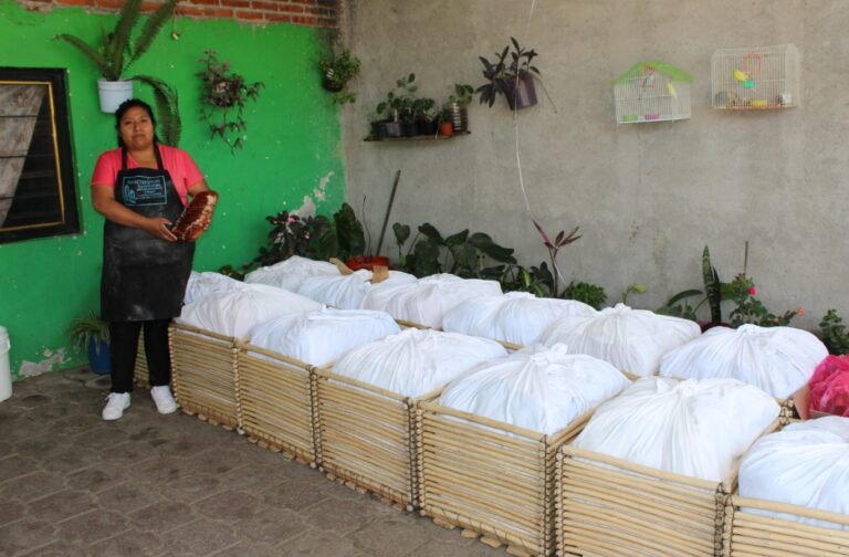 Impulsó Fomtlax a 658 mipymes con más de 23 mdp en el primer semestre de 2025