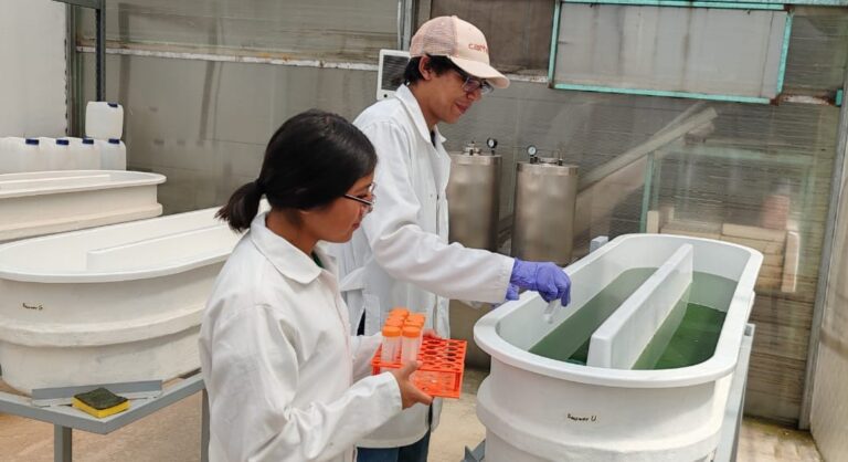 «Verano en la Ciencia” acerca a estudiantes de CECyTE-EMSaD al mundo de la investigación científica