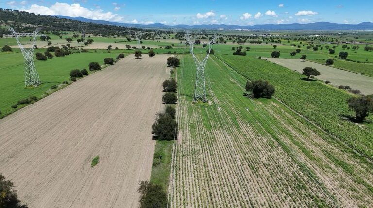 SIA activa apoyo emergente para productores con cultivos dañados por lluvias