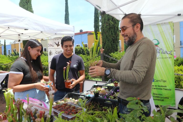 Inaugura CICB-UATx su «Segundo Festival de las Suculentas en Tlaxcala»