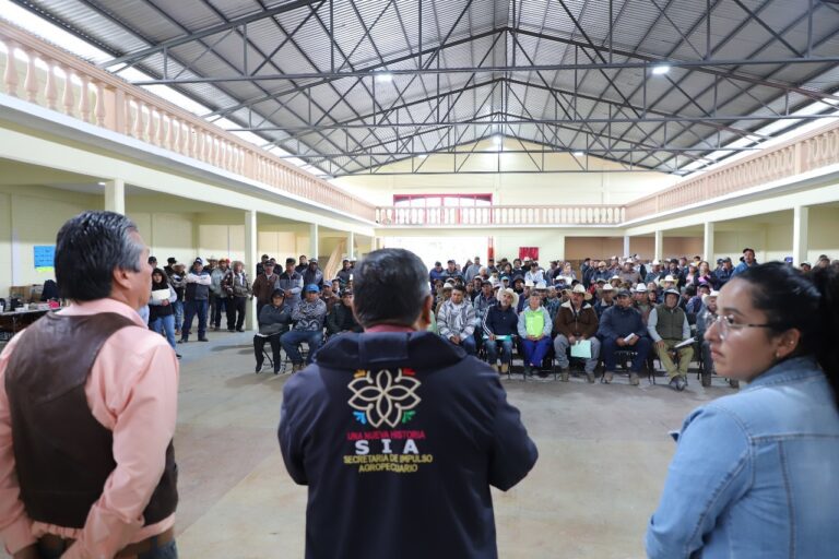 Inicia la entrega de semilla de avena a ejidos afectados por lluvias y granizo
