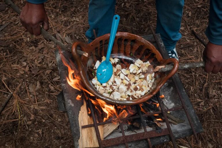 Se realizará el segundo festival de hongos comestibles y muestra gastronómica indígena 2025, en Teolocholco