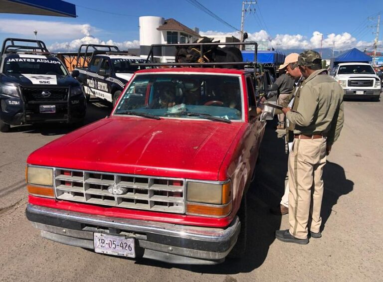 Tlaxcala y Puebla refuerzan operativos para garantizar transporte pecuario seguro