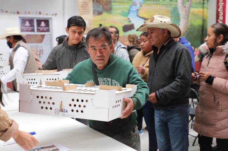 GOBIERNO DEL ESTADO ENTREGA 458 PAQUETES AGROPECURIOS PARA FORTALECER ECONOMÍA FAMILIAR EN 17 MUNICIPIOS