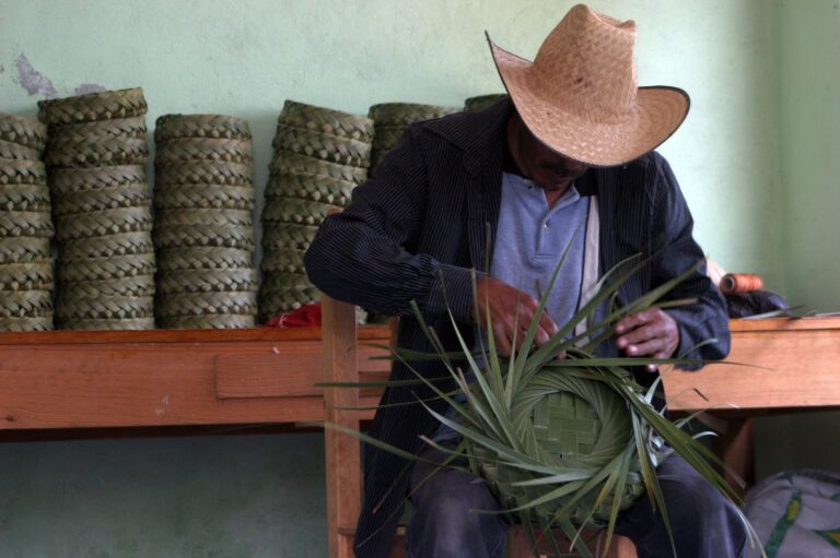 CONVOCA CASA DE LAS ARTESANÍAS AL XIII CONCURSO ESTATAL DE FIBRAS VEGETALES 2025