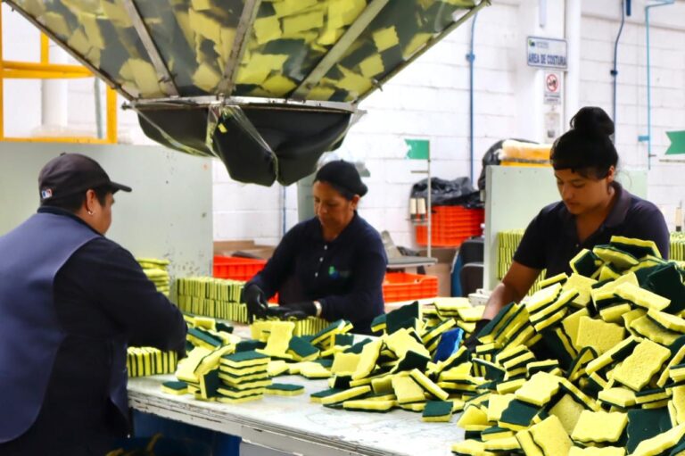 Tlaxcala Alcanza Nueva Cifra Histórica en Empleo Formal: IMSS